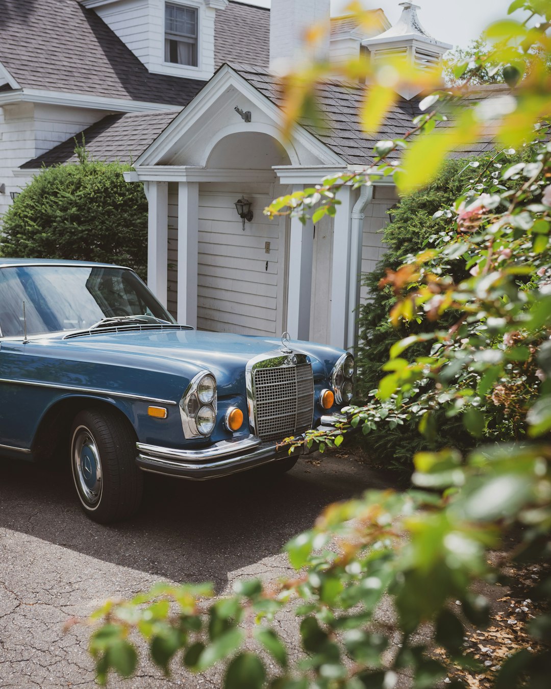 blue car parked beside green plants