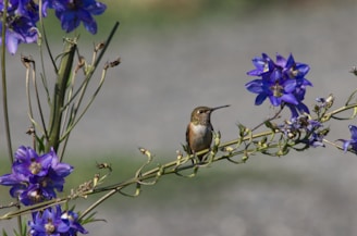 A serene close-up of a hummingbird hovering near vibrant flowers, symbolizing gentle healing energy.