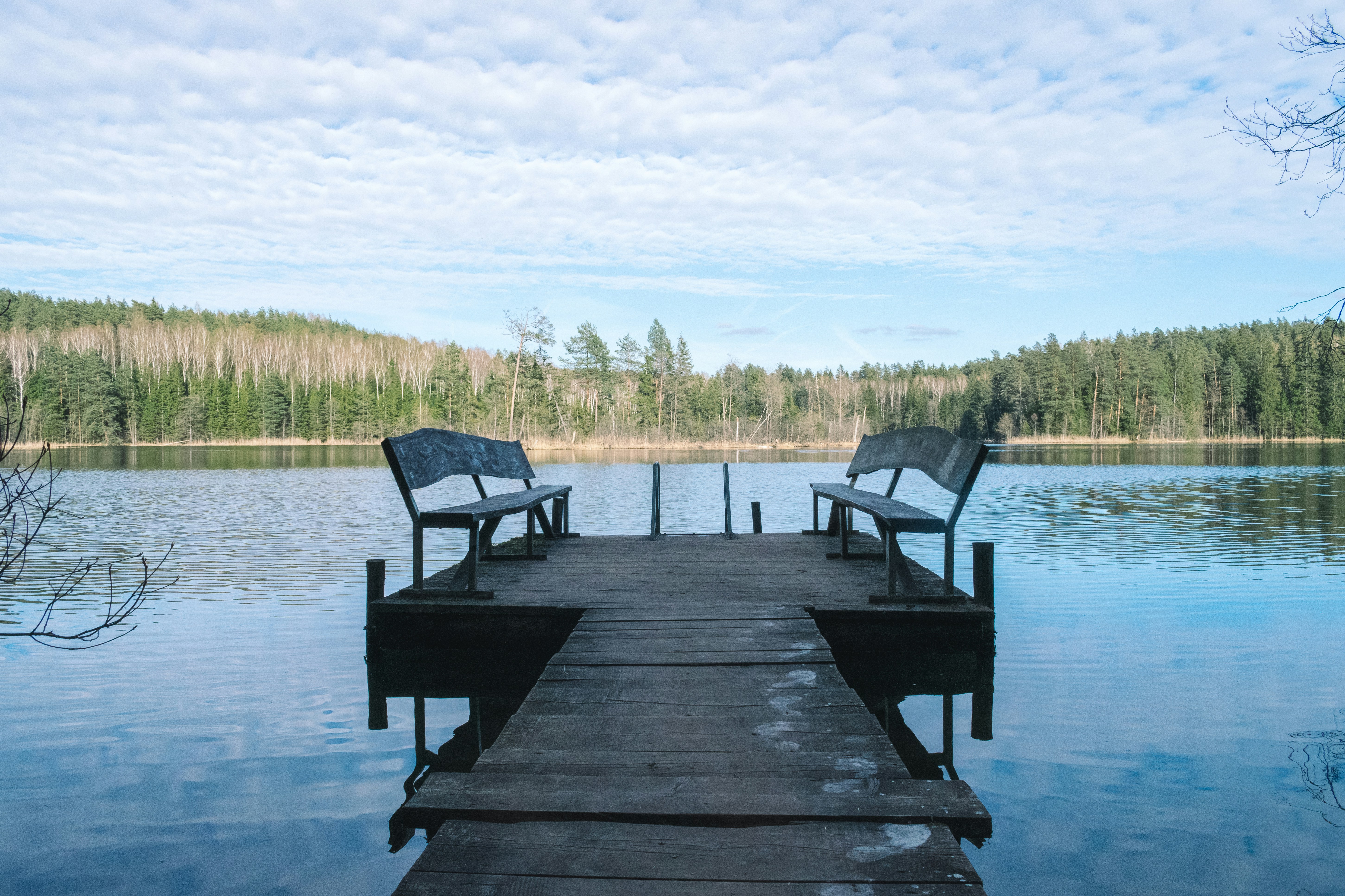 Photo by darya_tryfanava