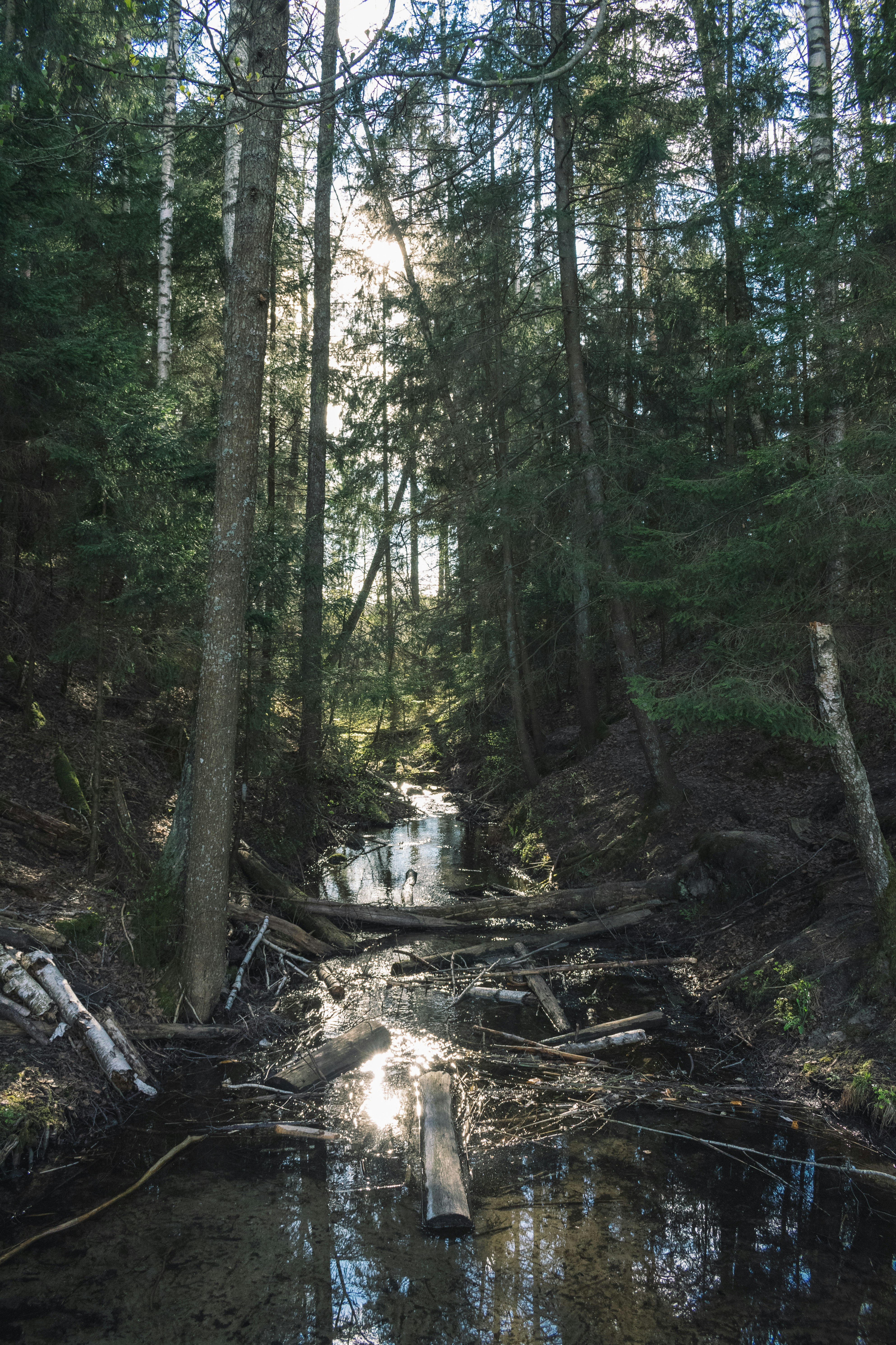 Photo by darya_tryfanava