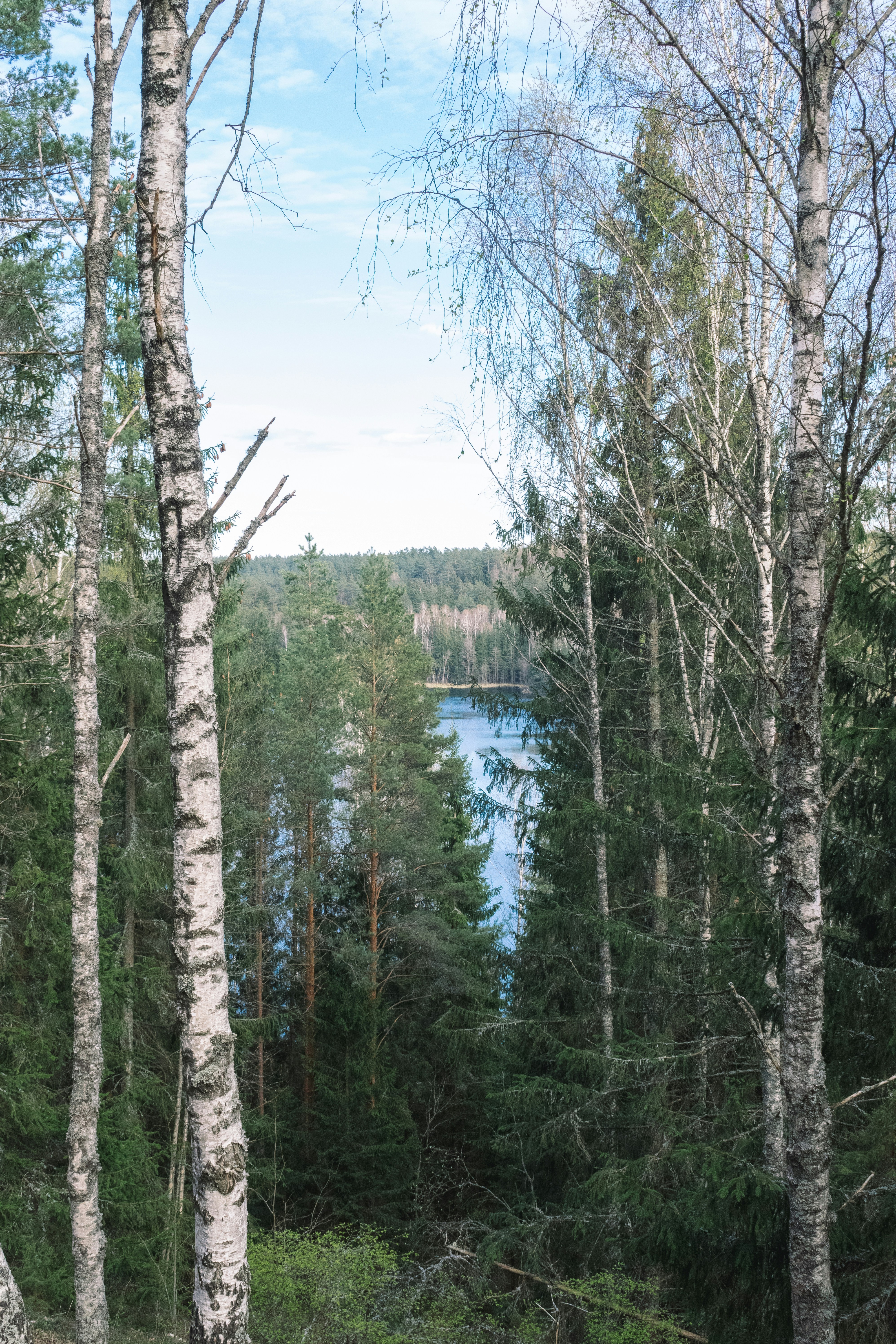 Photo by darya_tryfanava