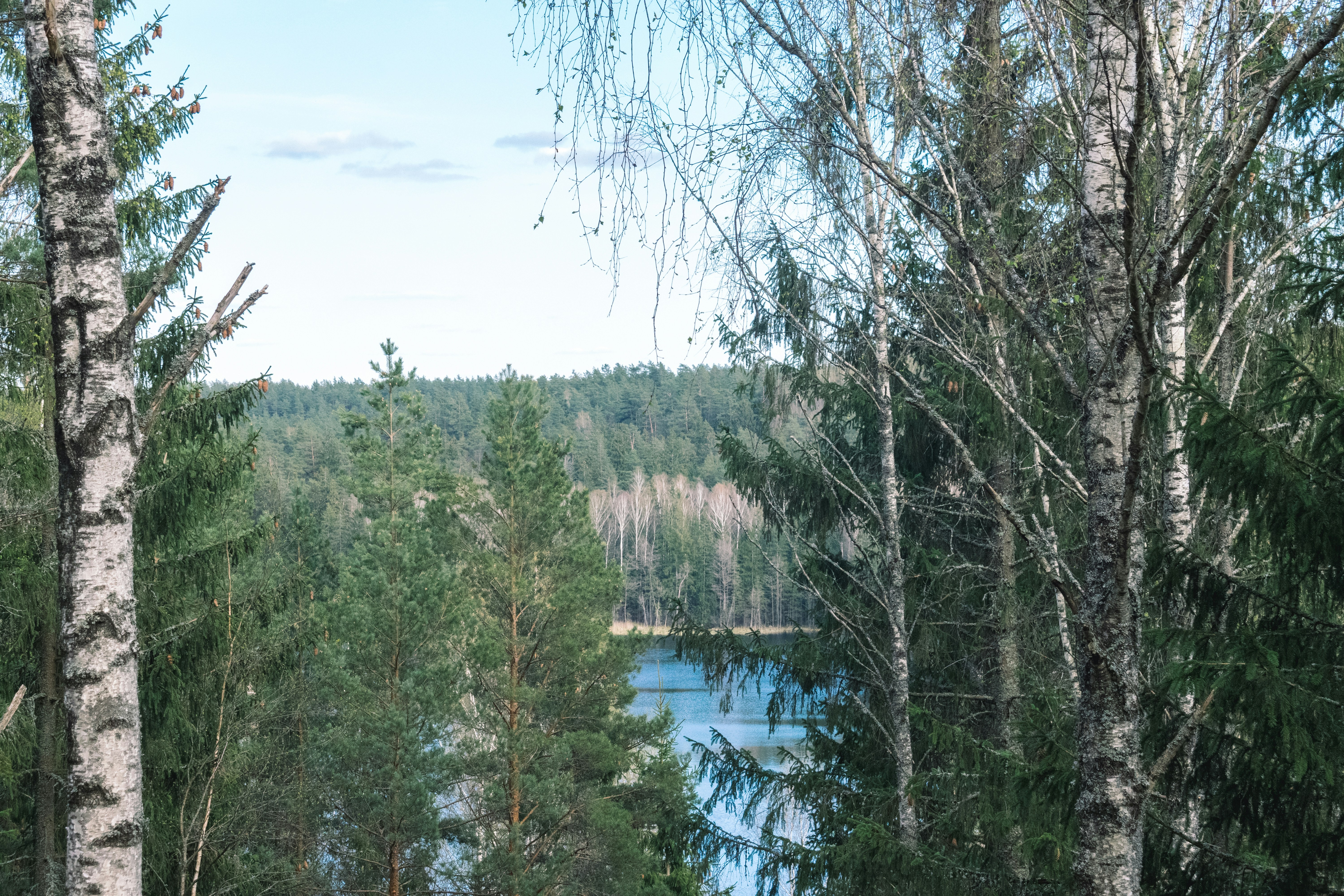 Photo by darya_tryfanava