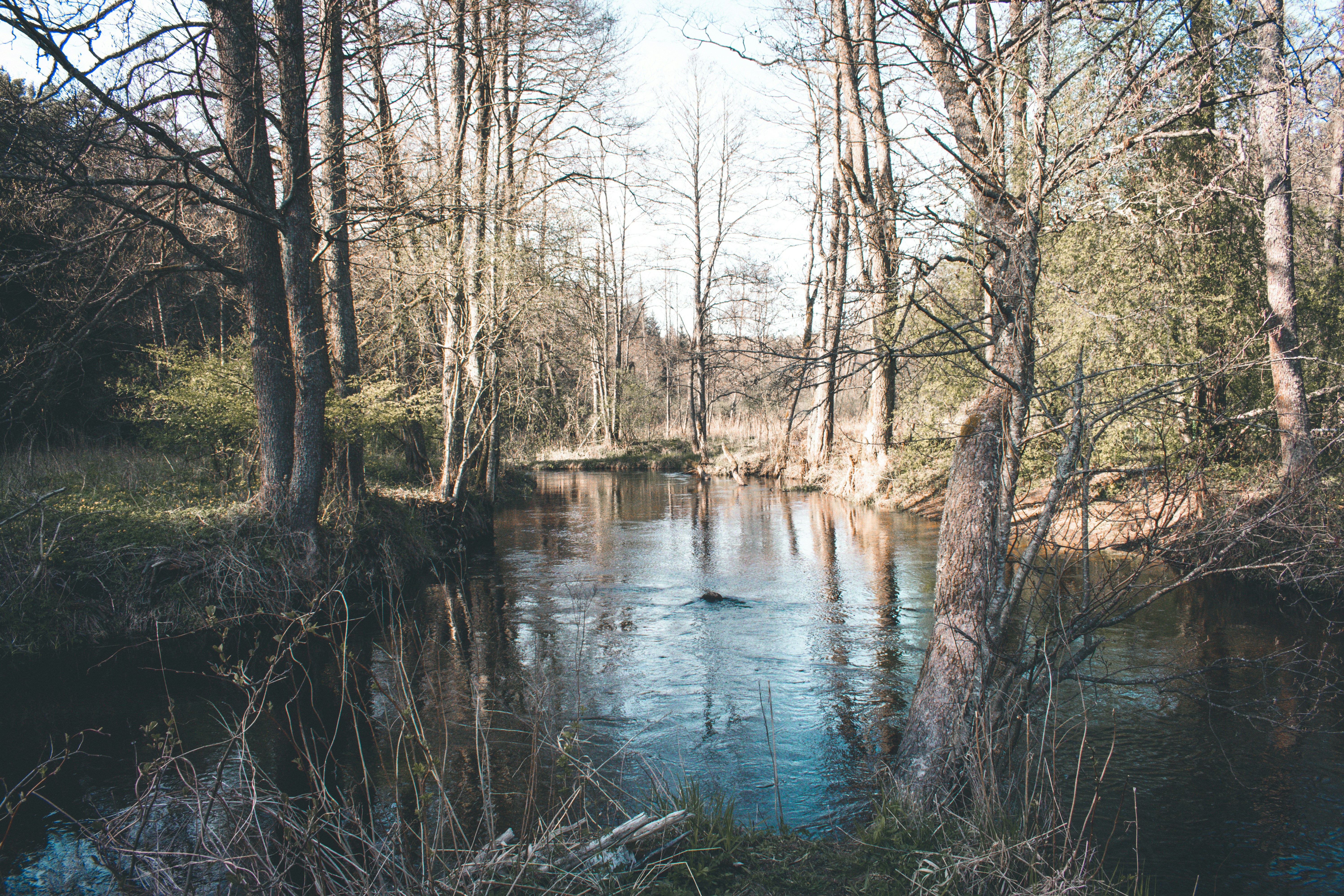 Photo by darya_tryfanava