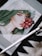 A digital artwork displayed on a tablet depicts a stylized portrait of a woman with green and white hair, holding a bunch of red grapes near her lips. The image is accompanied by a digital pen resting on a textured surface, suggesting the setting is an artistic workspace.