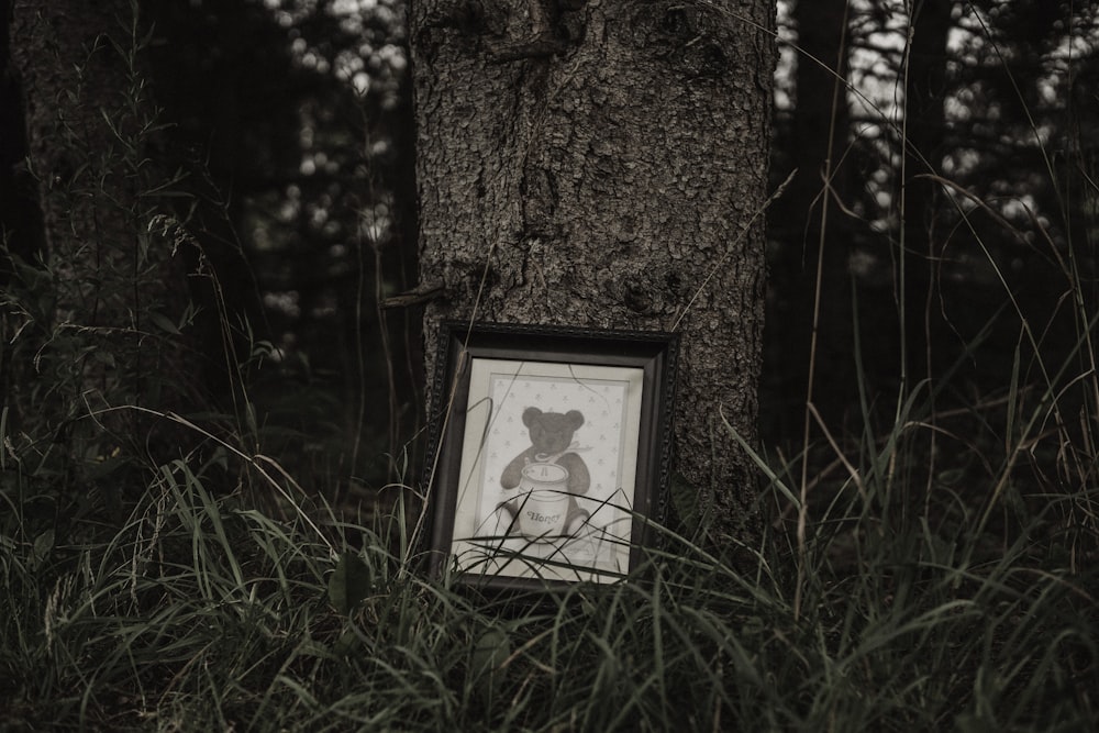 white and black frame on tree