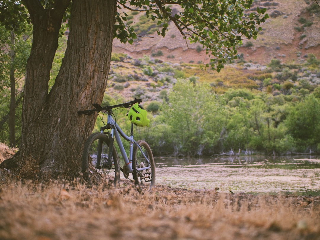 black and green mountain bike near body of water during daytime