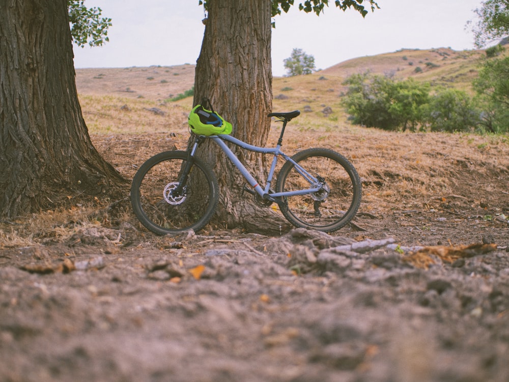 black and green mountain bike leaning on brown tree trunk during daytime