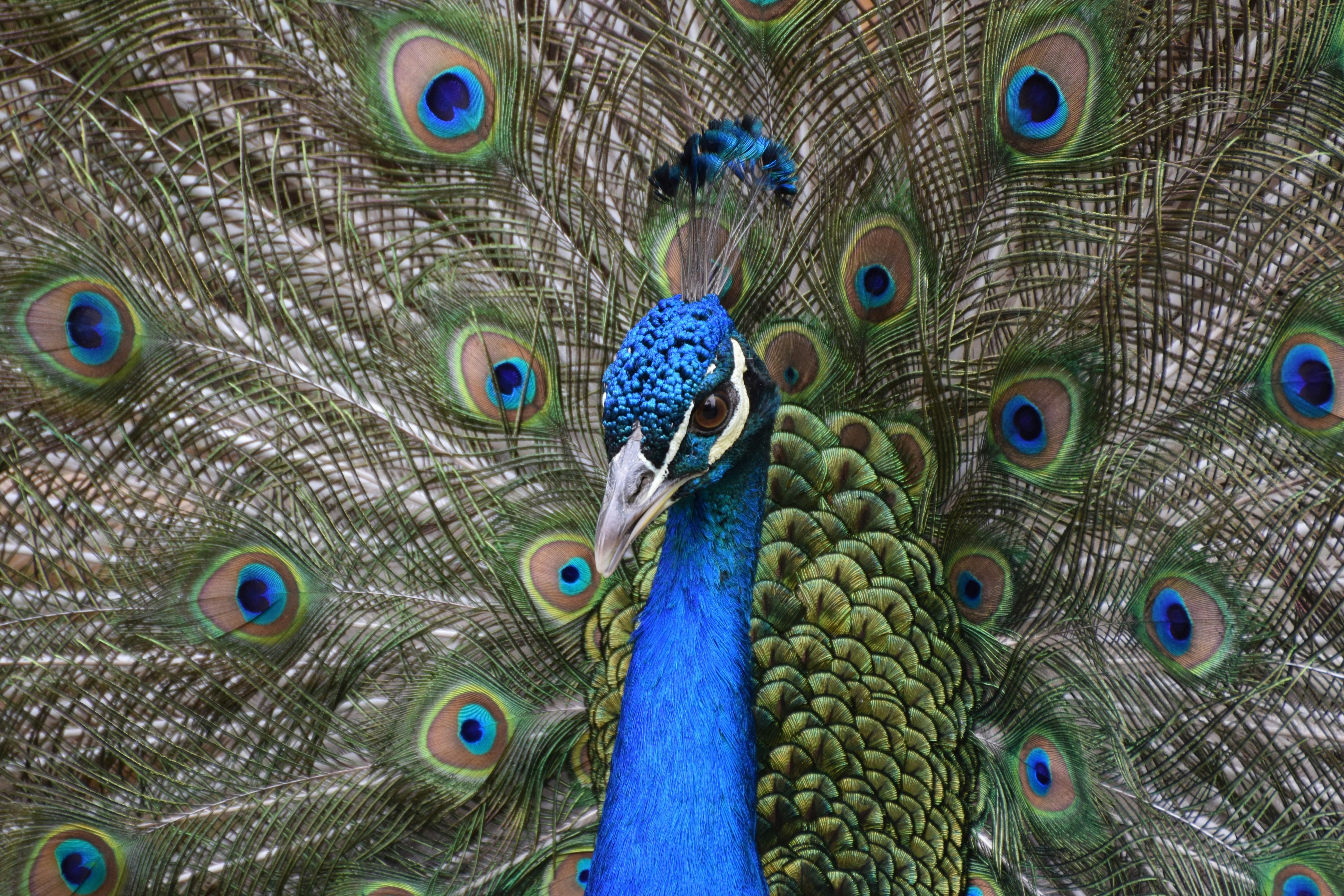 Photo by juankbloody