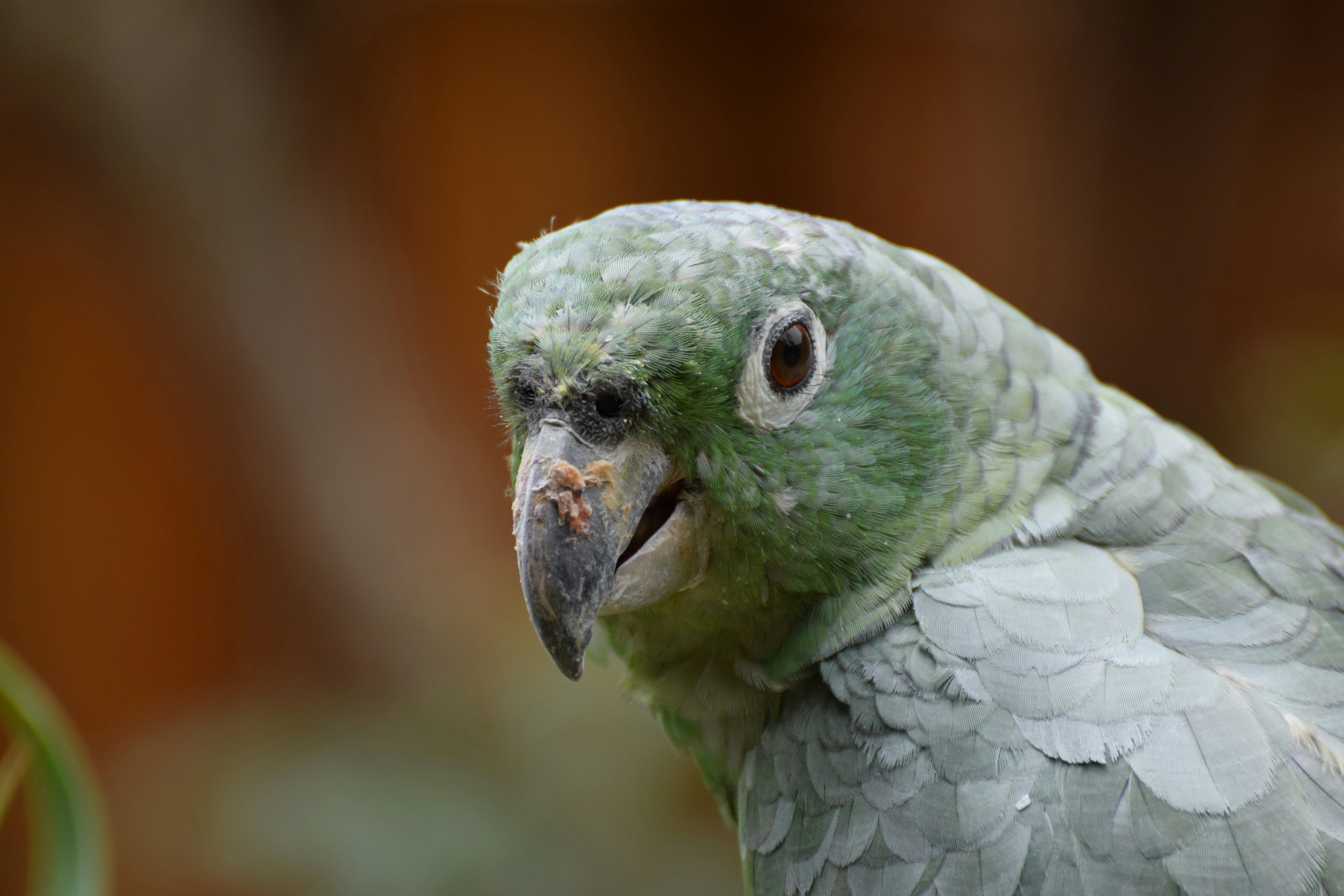 Photo by juankbloody