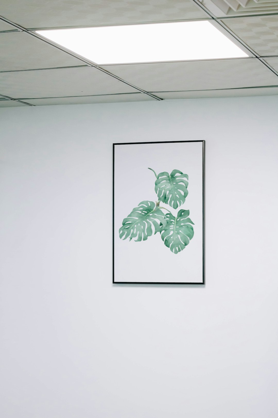 green leaf painting on white wall