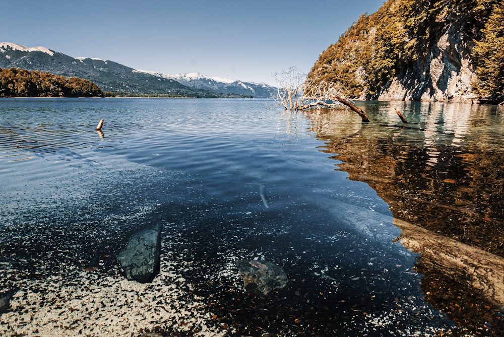 personne dans l’eau près d’arbres verts pendant la journée