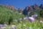A stunning natural landscape showcases rugged mountains with reddish-brown peaks against a clear blue sky, surrounded by lush green forests and vibrant wildflowers in the foreground.