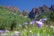 A stunning natural landscape showcases rugged mountains with reddish-brown peaks against a clear blue sky, surrounded by lush green forests and vibrant wildflowers in the foreground.