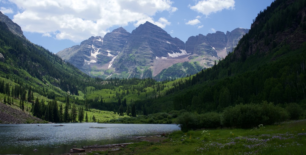 green trees near mountain during daytime