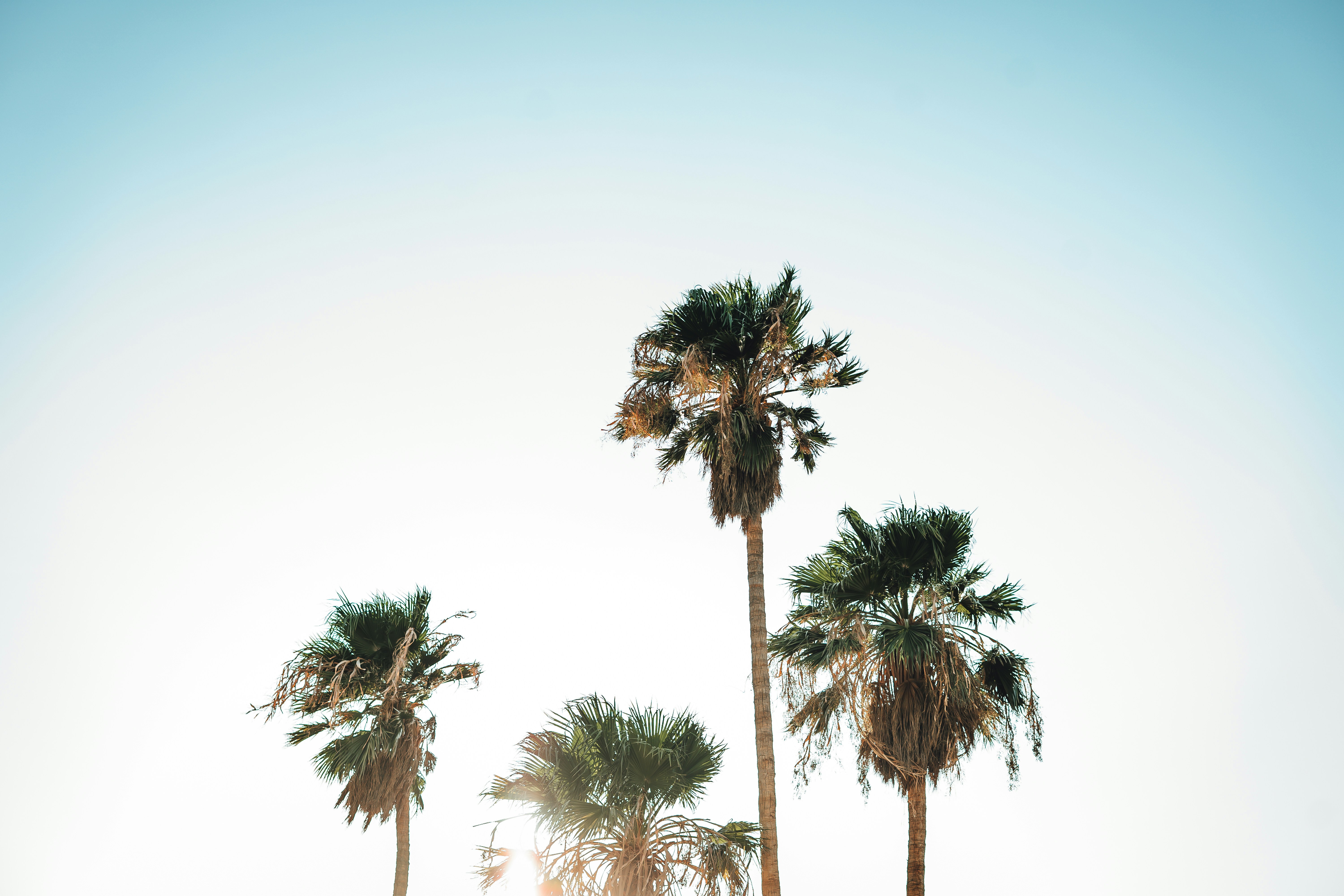 Photo by jeffersonsees