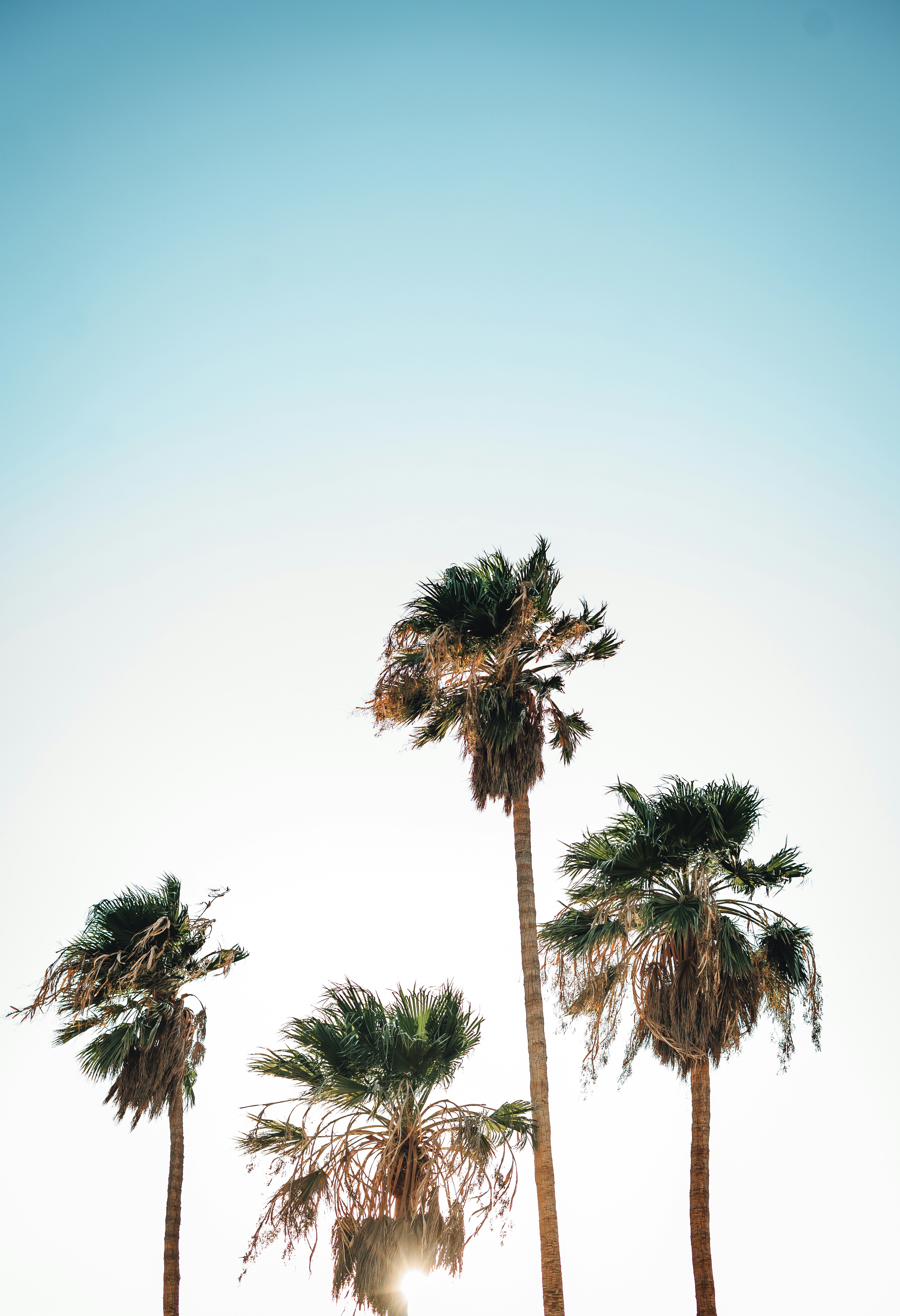 Photo by jeffersonsees