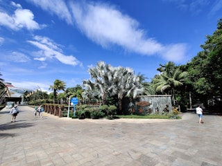 Visitors enjoying a sunny day walking through the avocado nursery and garden paths.