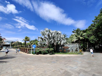 Visitors enjoying a sunny day exploring the outdoor areas of the Dubai destination.