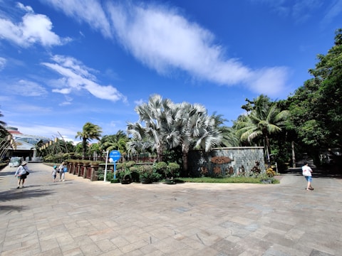 Visitors enjoying a sunny day walking through the avocado nursery and garden paths.