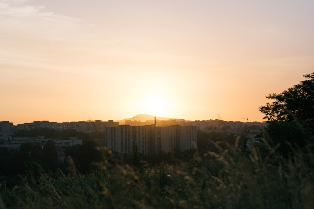 brown concrete building during sunset