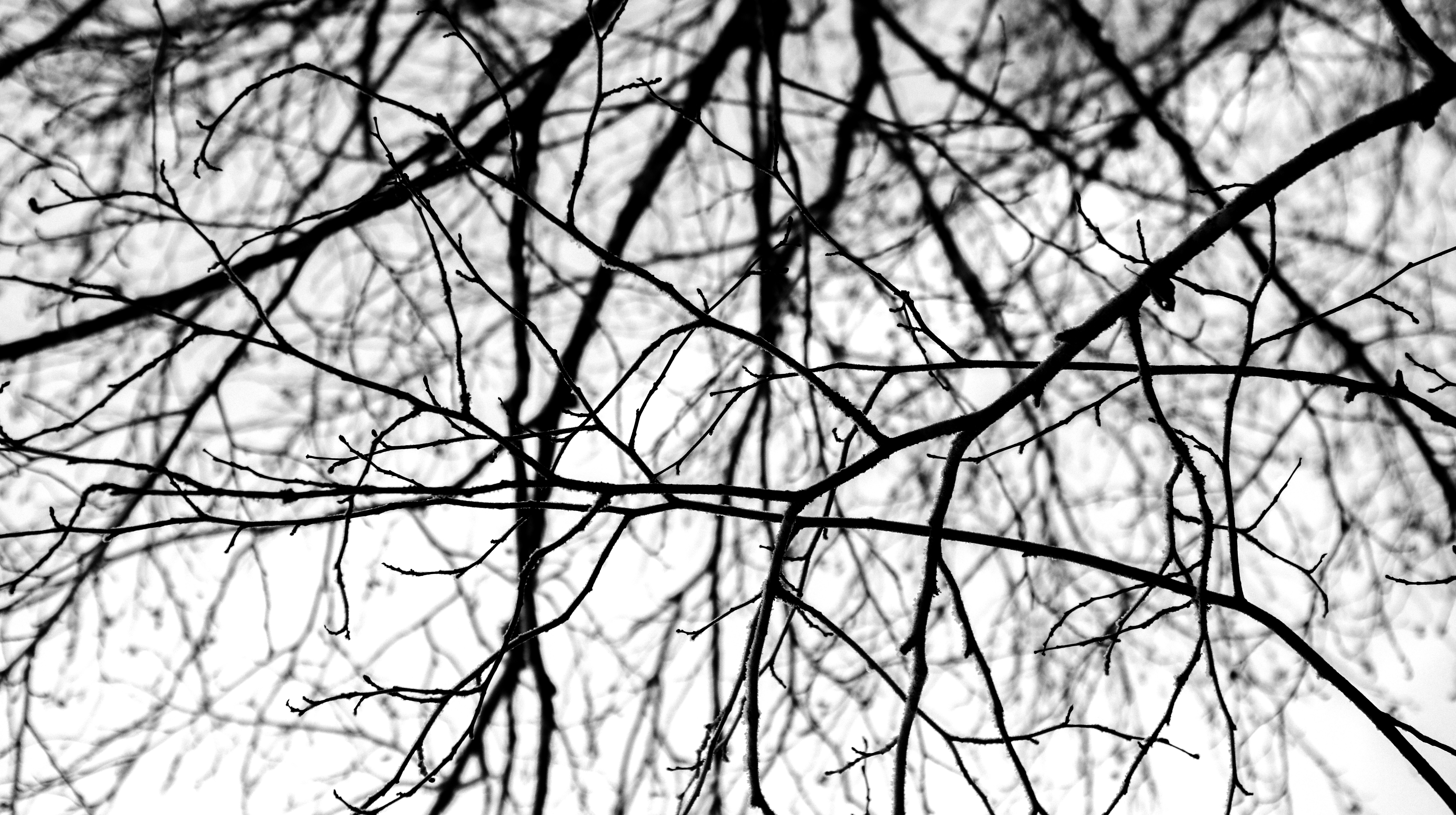 Photo by wilhelmgunkel