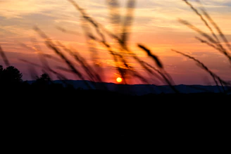 A serene sunset landscape taken by a professional photographer