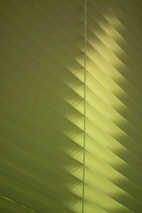 Modern Roller Blind
