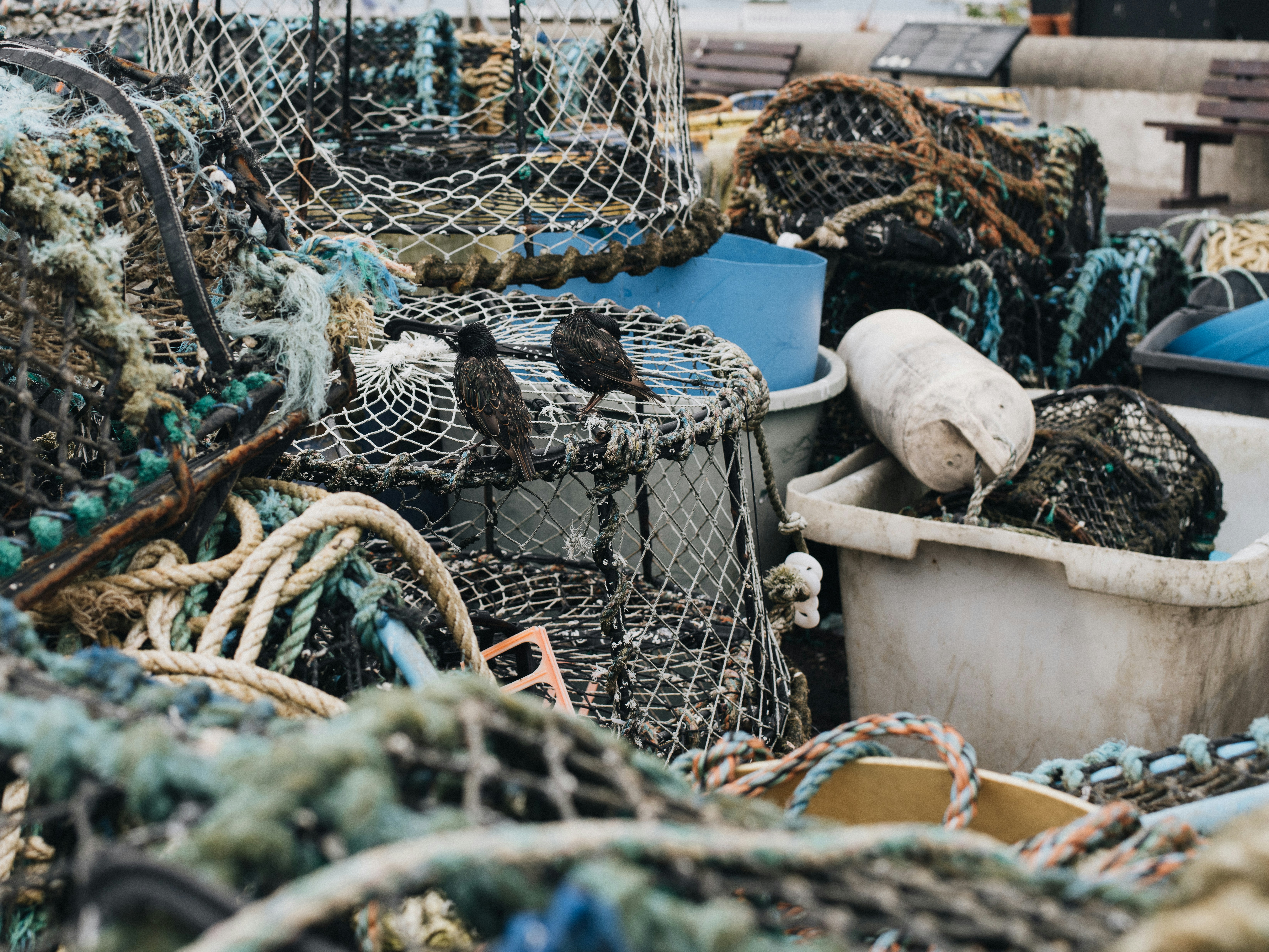 white and blue net on blue and white table, 