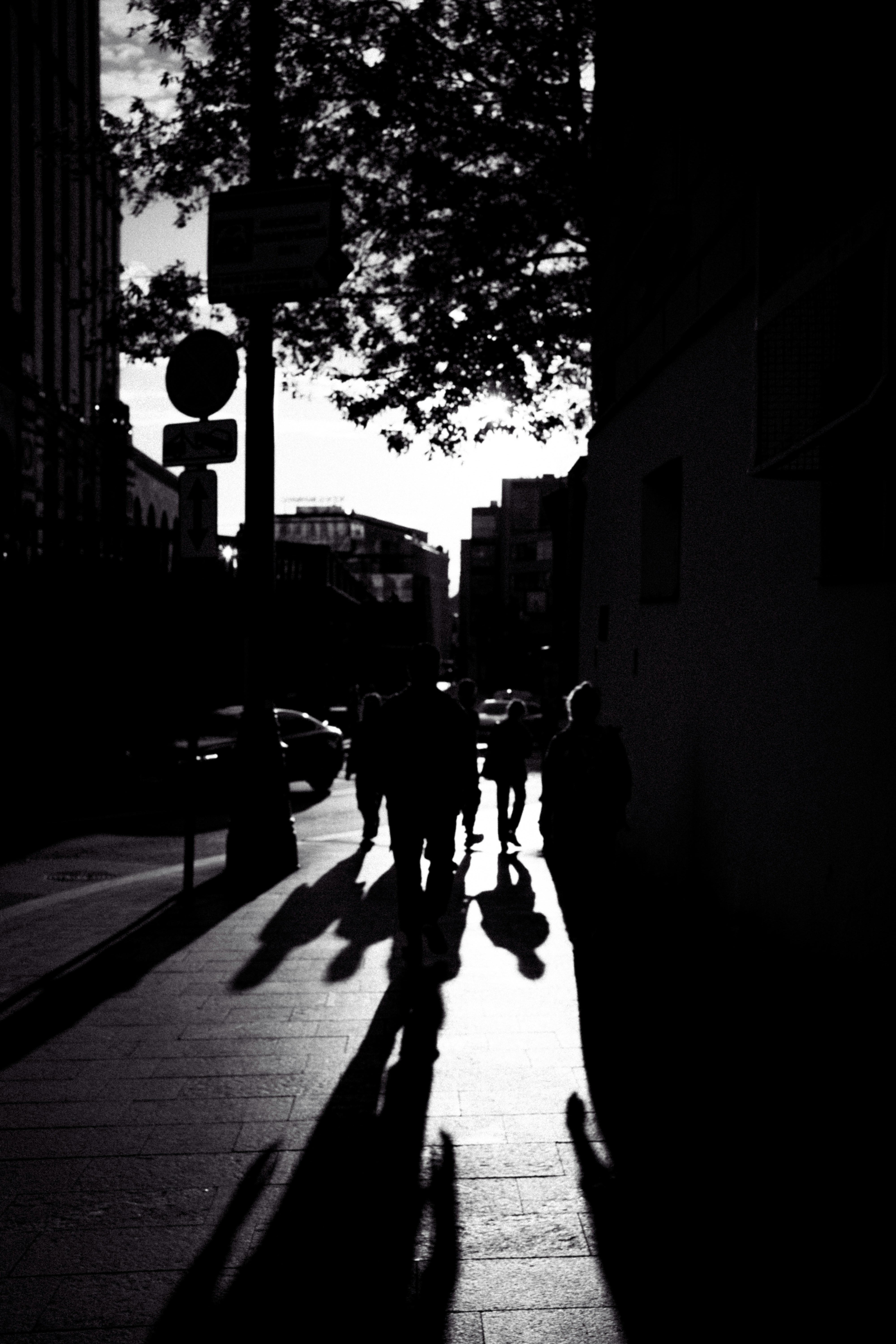 Photo by shklyaevmax