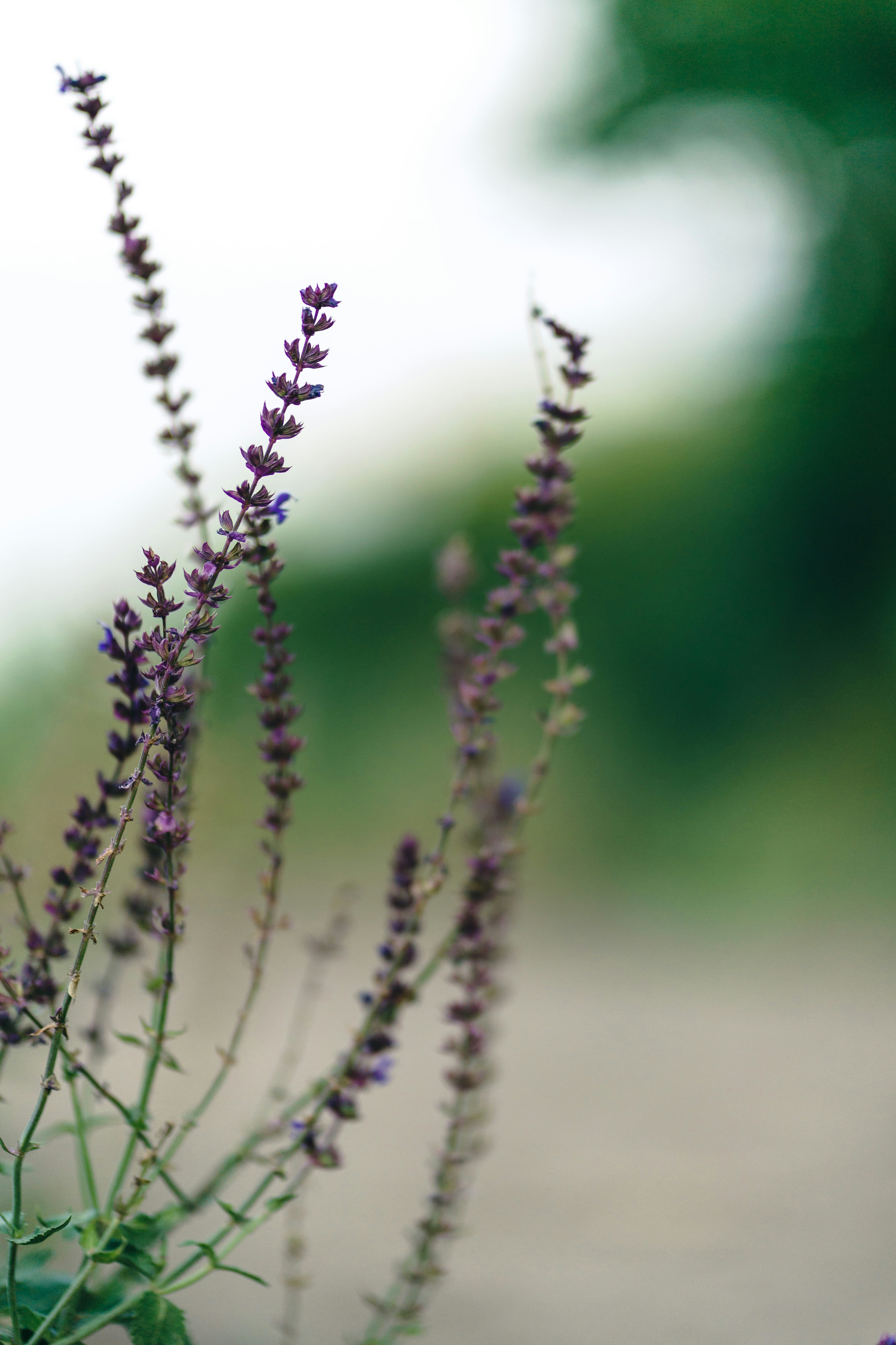 Photo by eugenechystiakov