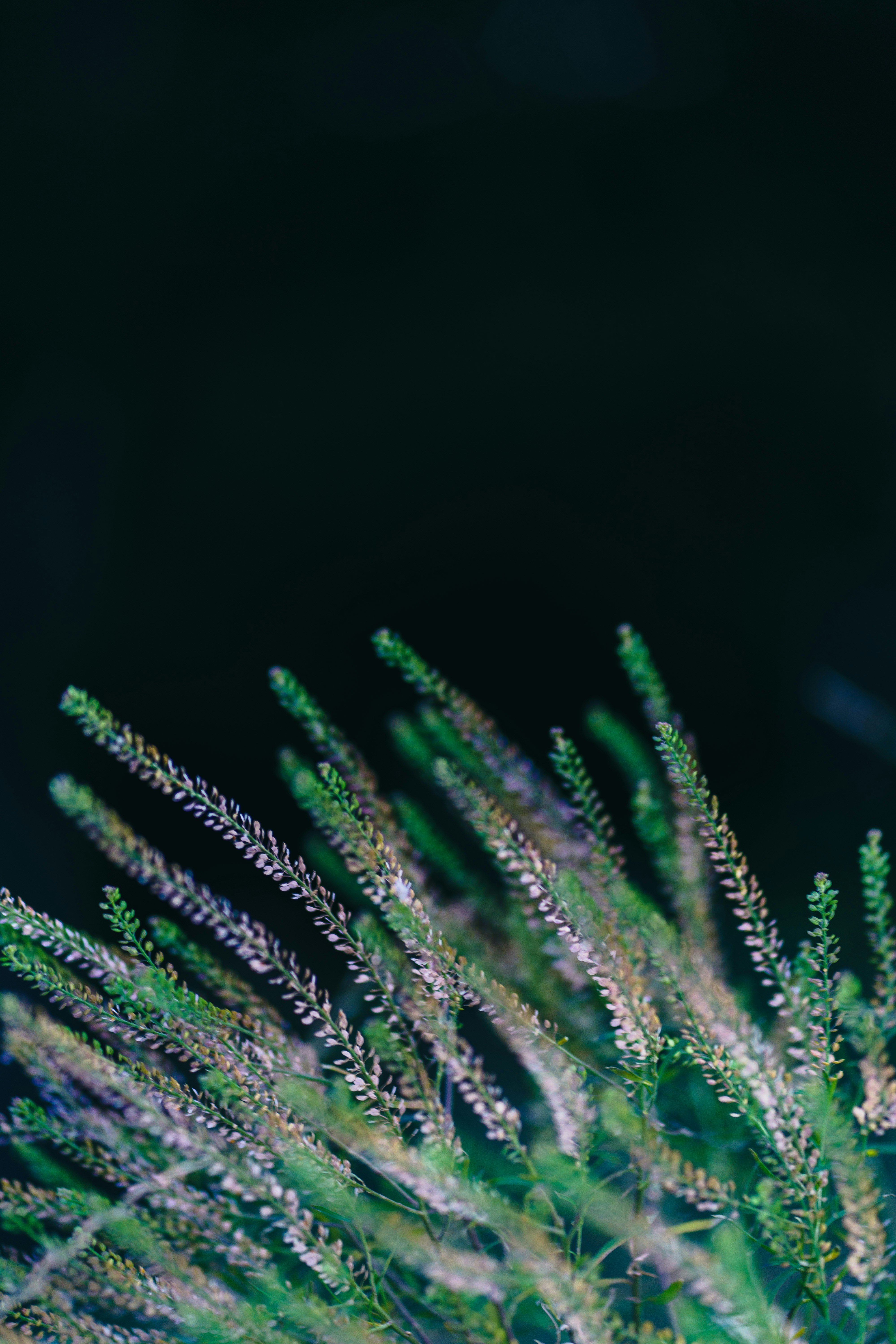 Photo by eugenechystiakov