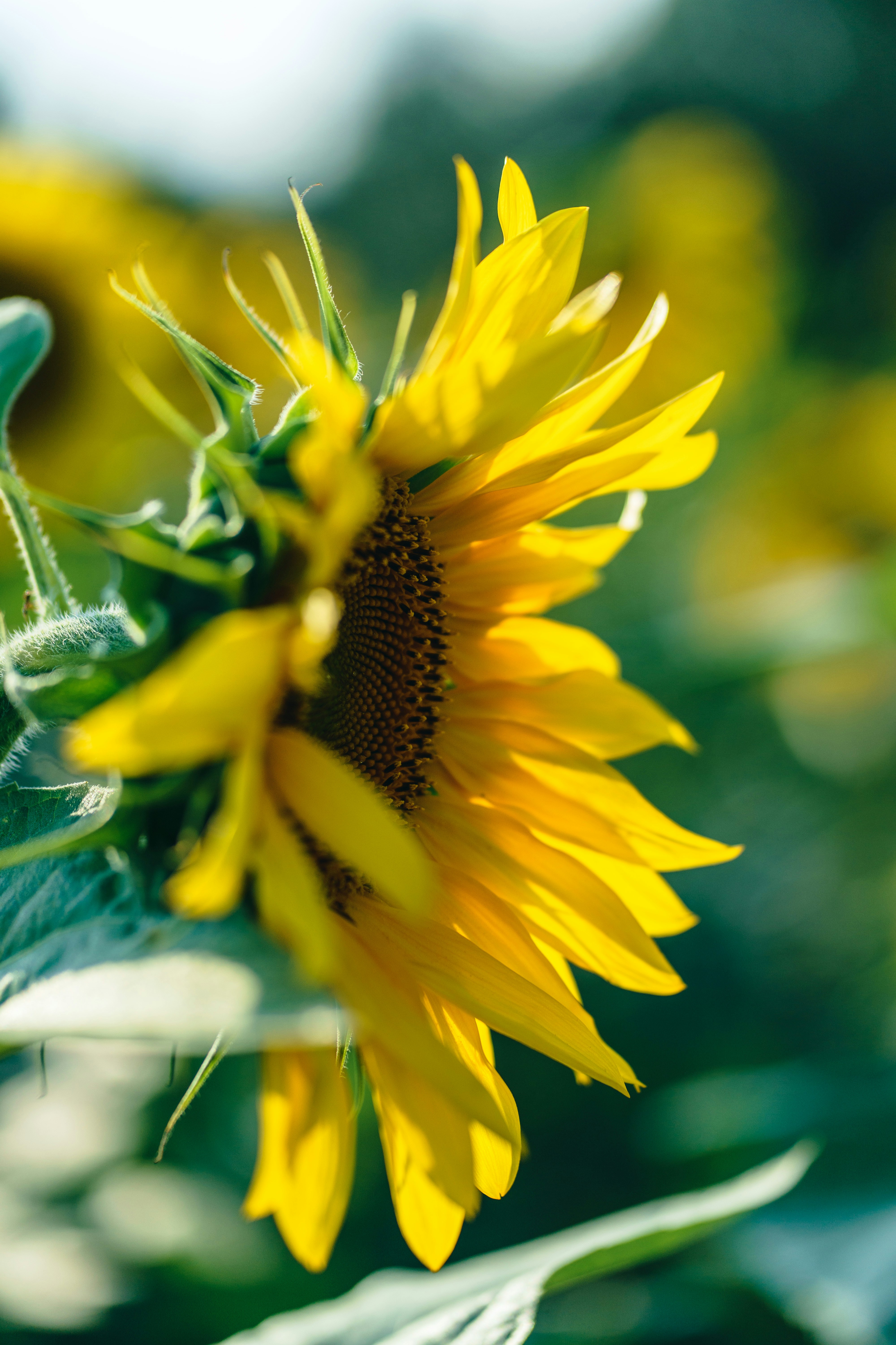 Photo by eugenechystiakov