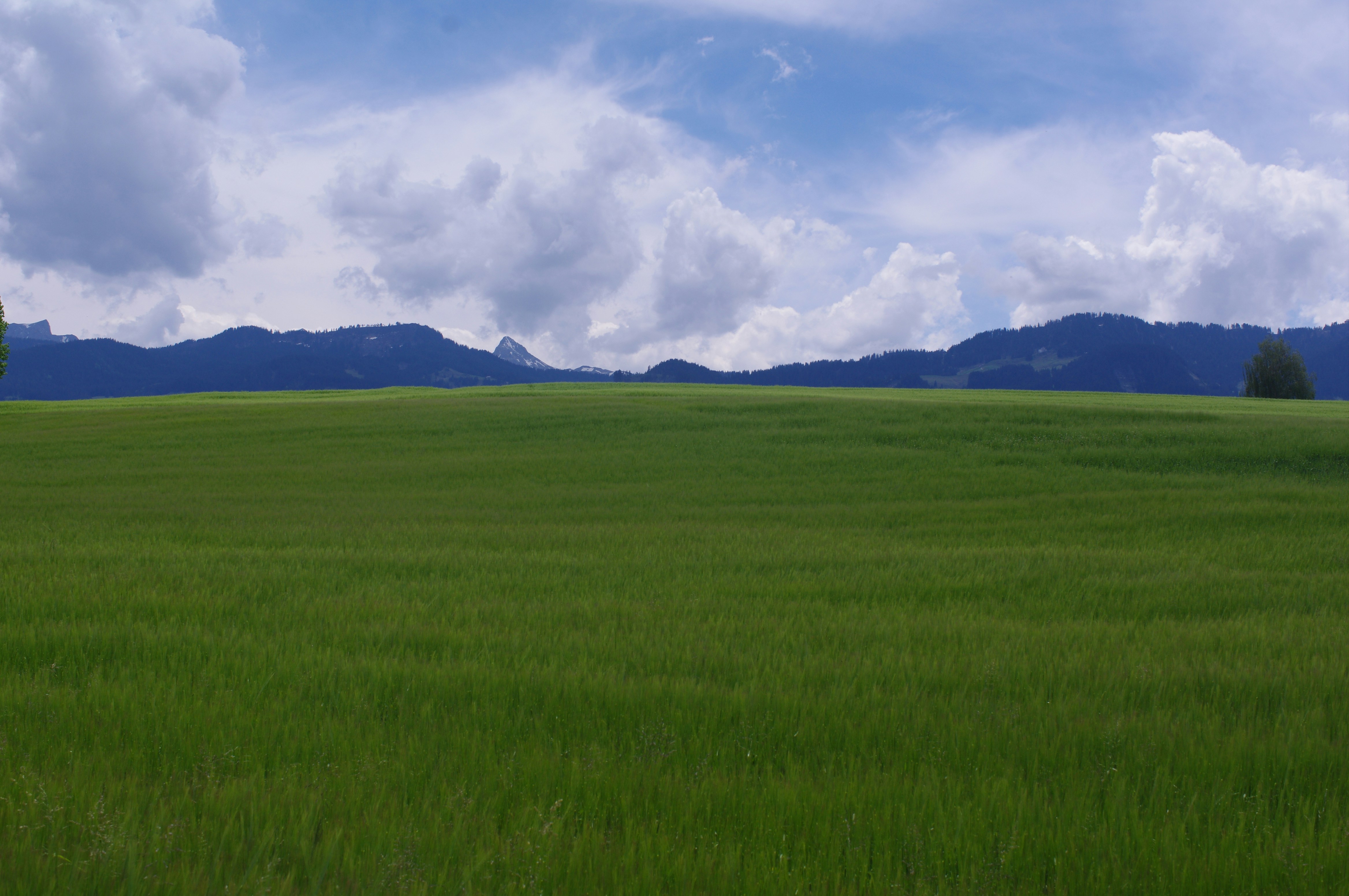 Photo by mparzuchowski