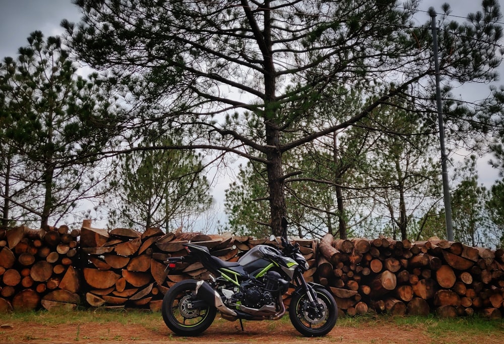 black motorcycle parked beside tree logs