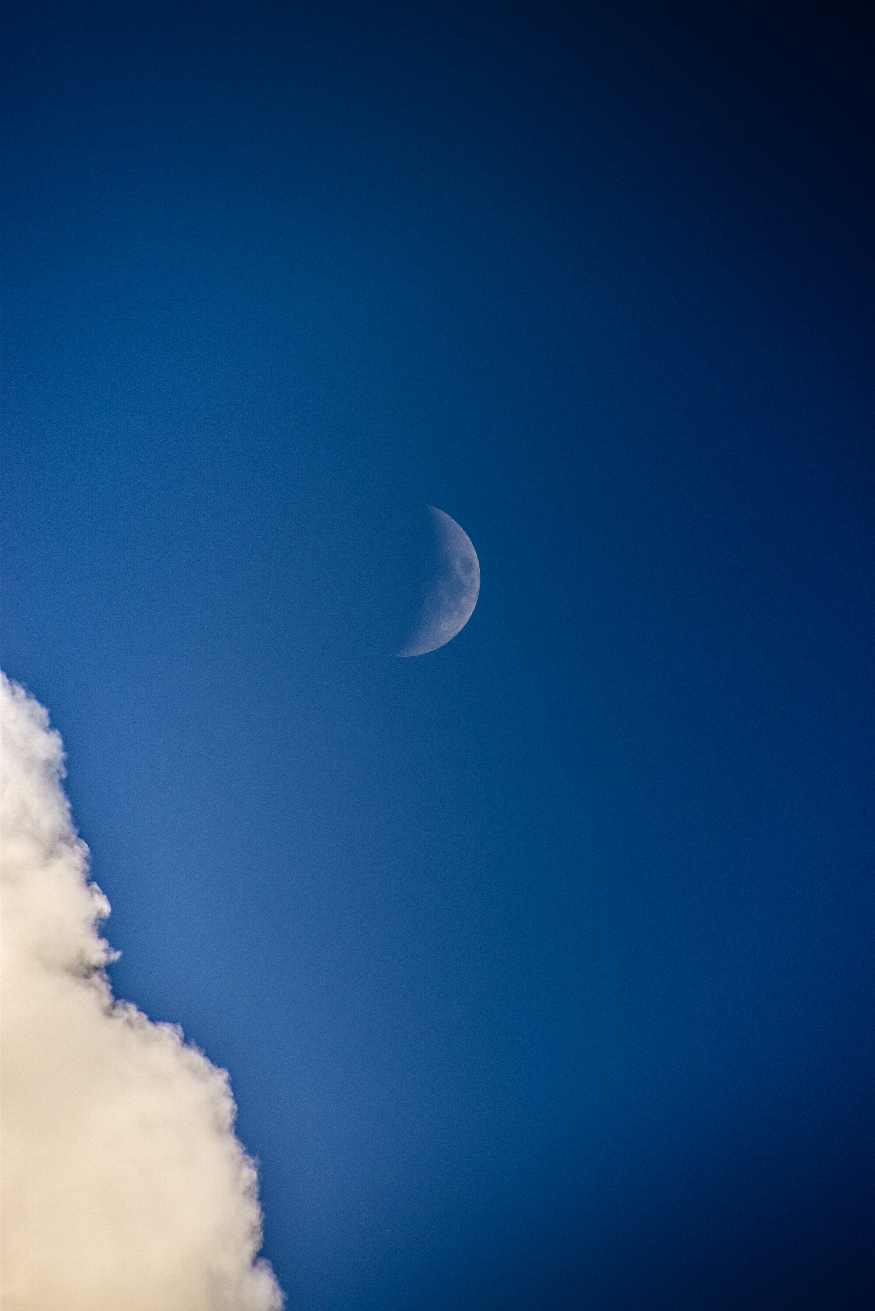 Photo by navi_photography