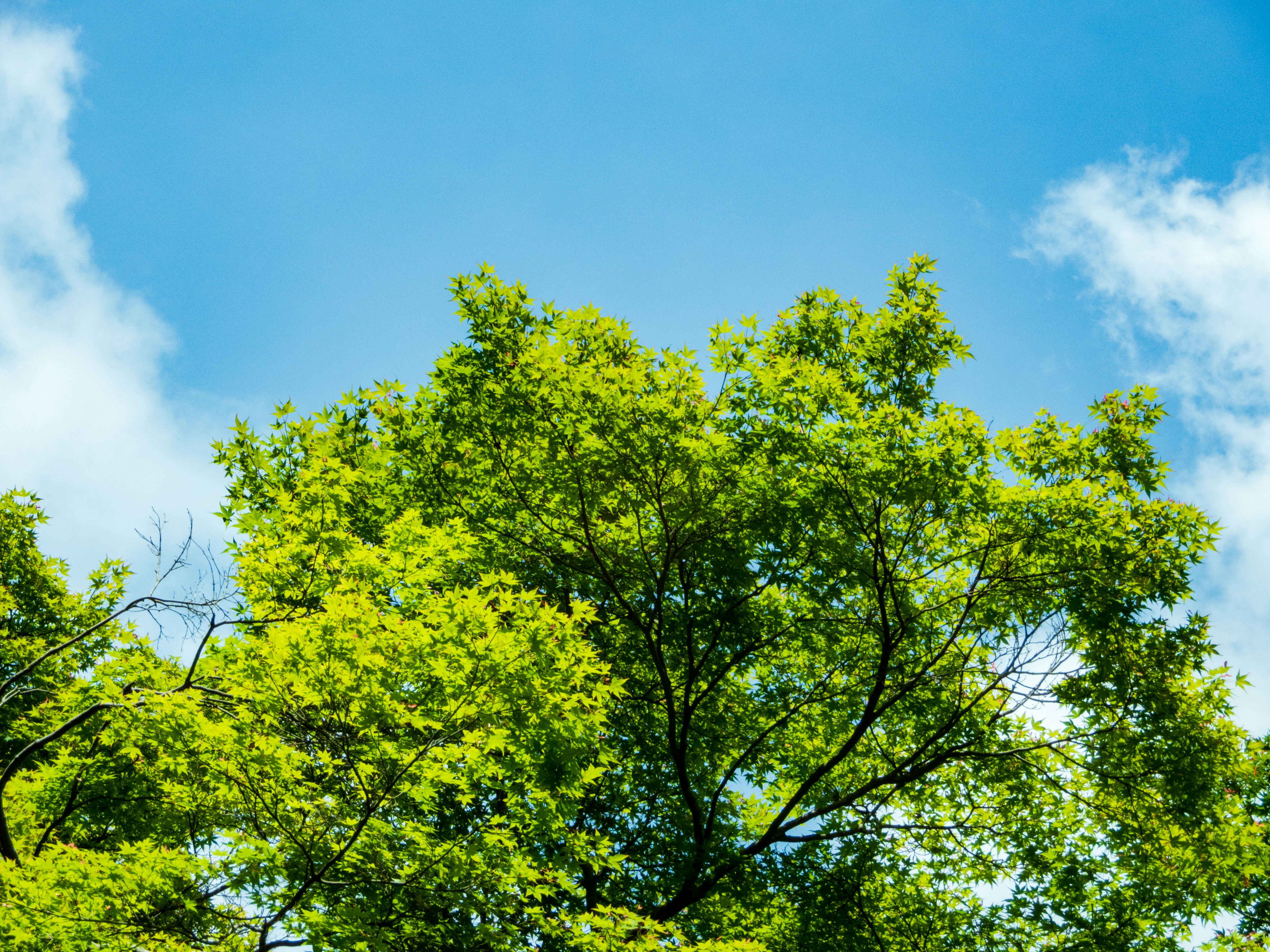 Photo by heppoko_yama