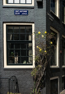 A brick building facade with two large windows, one on top of the other. The building is painted dark gray, and a sign above the lower window reads 'Sint Antonie Sluis Centrum'. A small flowering plant with bright yellow flowers climbs up the wall next to the window.