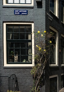 A brick building facade with two large windows, one on top of the other. The building is painted dark gray, and a sign above the lower window reads 'Sint Antonie Sluis Centrum'. A small flowering plant with bright yellow flowers climbs up the wall next to the window.
