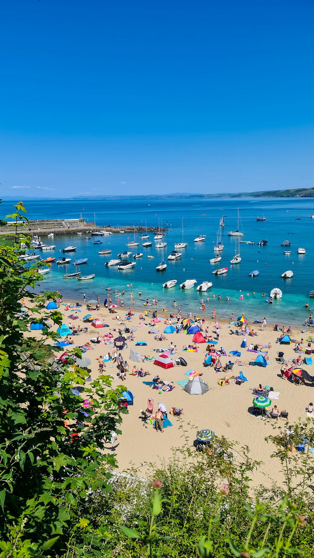 people on beach during daytime