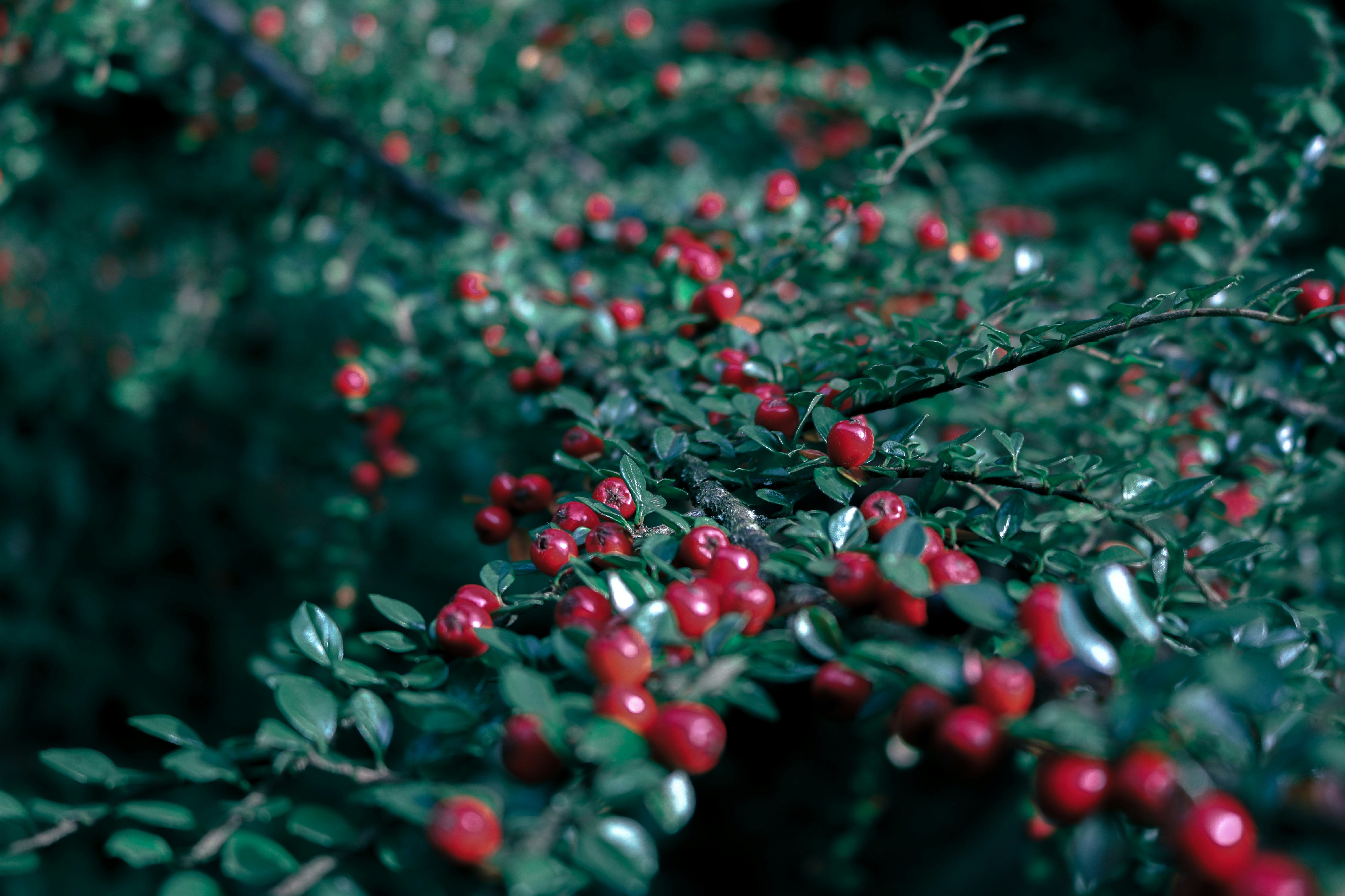 Photo by pascal_schuetz