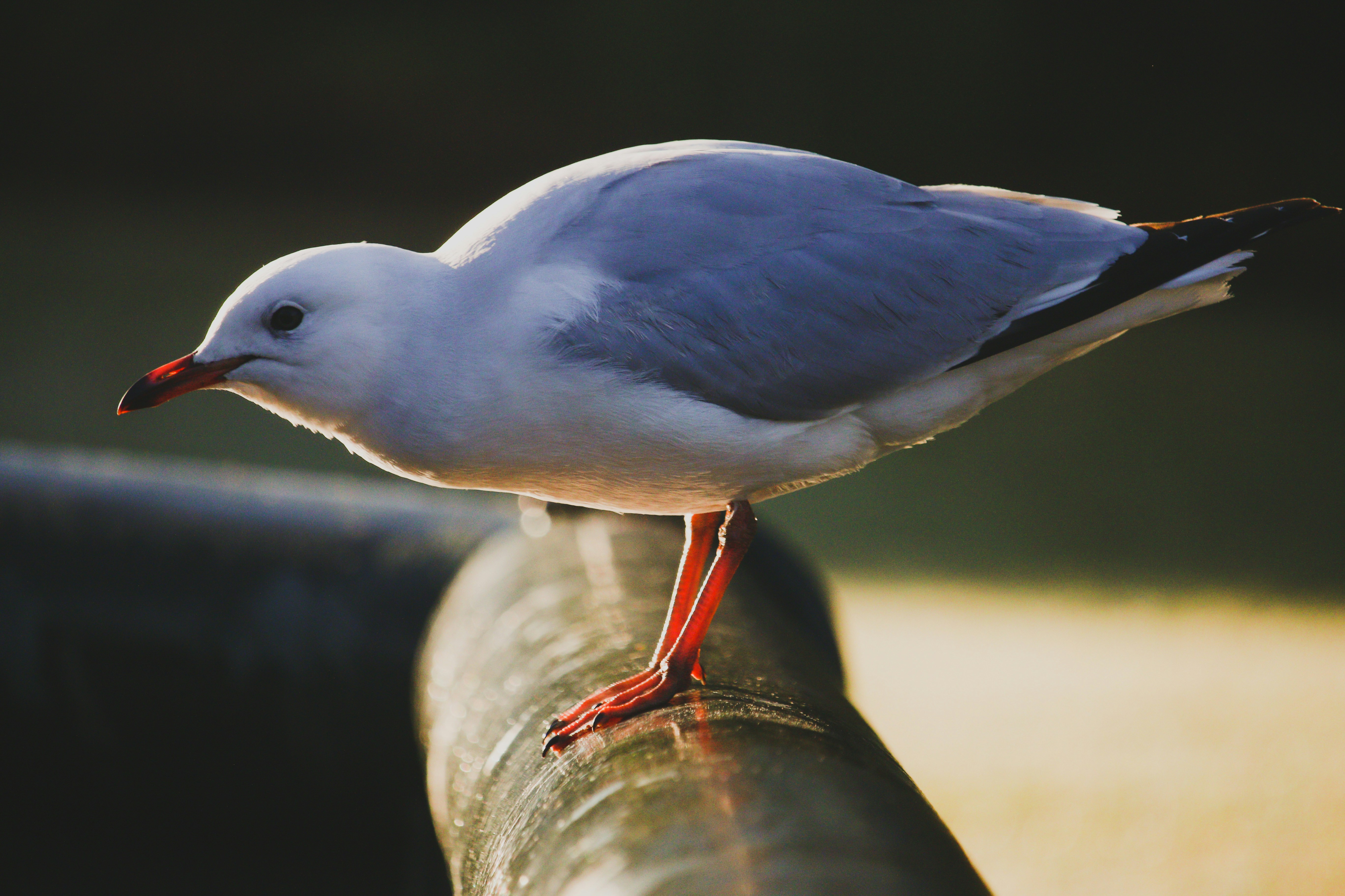 Photo by bremer_media