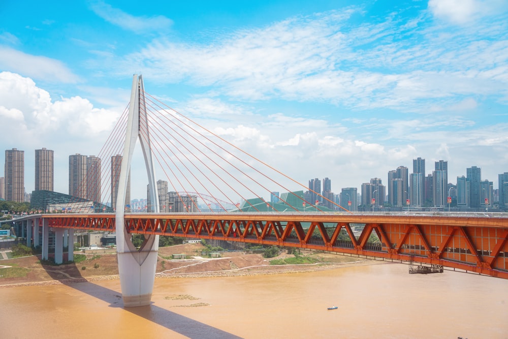 white bridge under blue sky during daytime