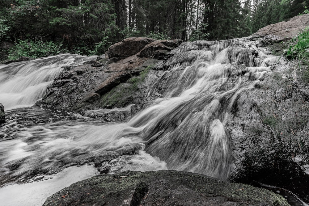 water falls in the forest