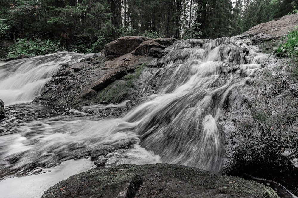 Wasserfälle im Wald
