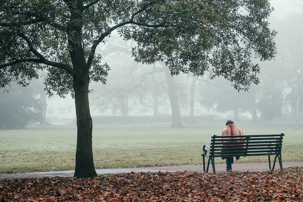 person sitting on brown wooden bench near green trees during daytime