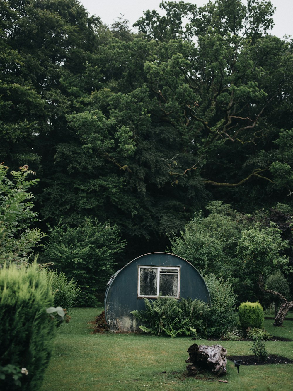 white and blue wooden house surrounded by green trees during daytime