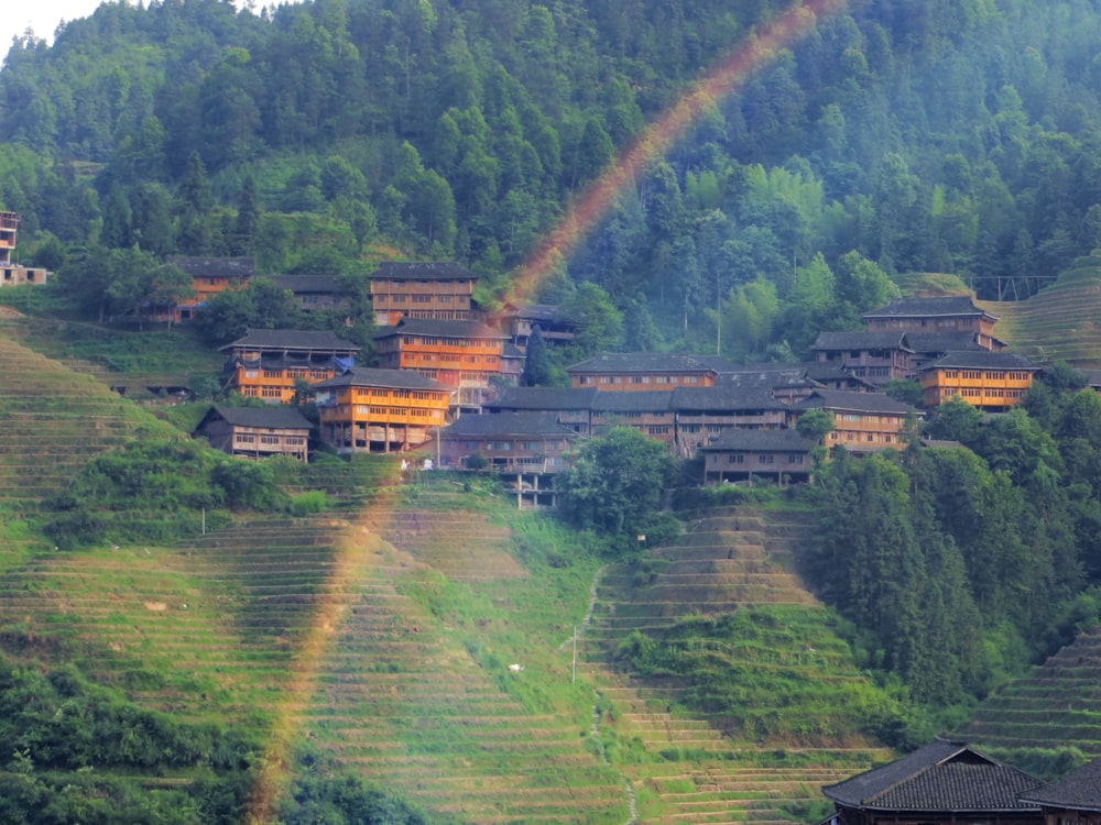 green grass field with rainbow