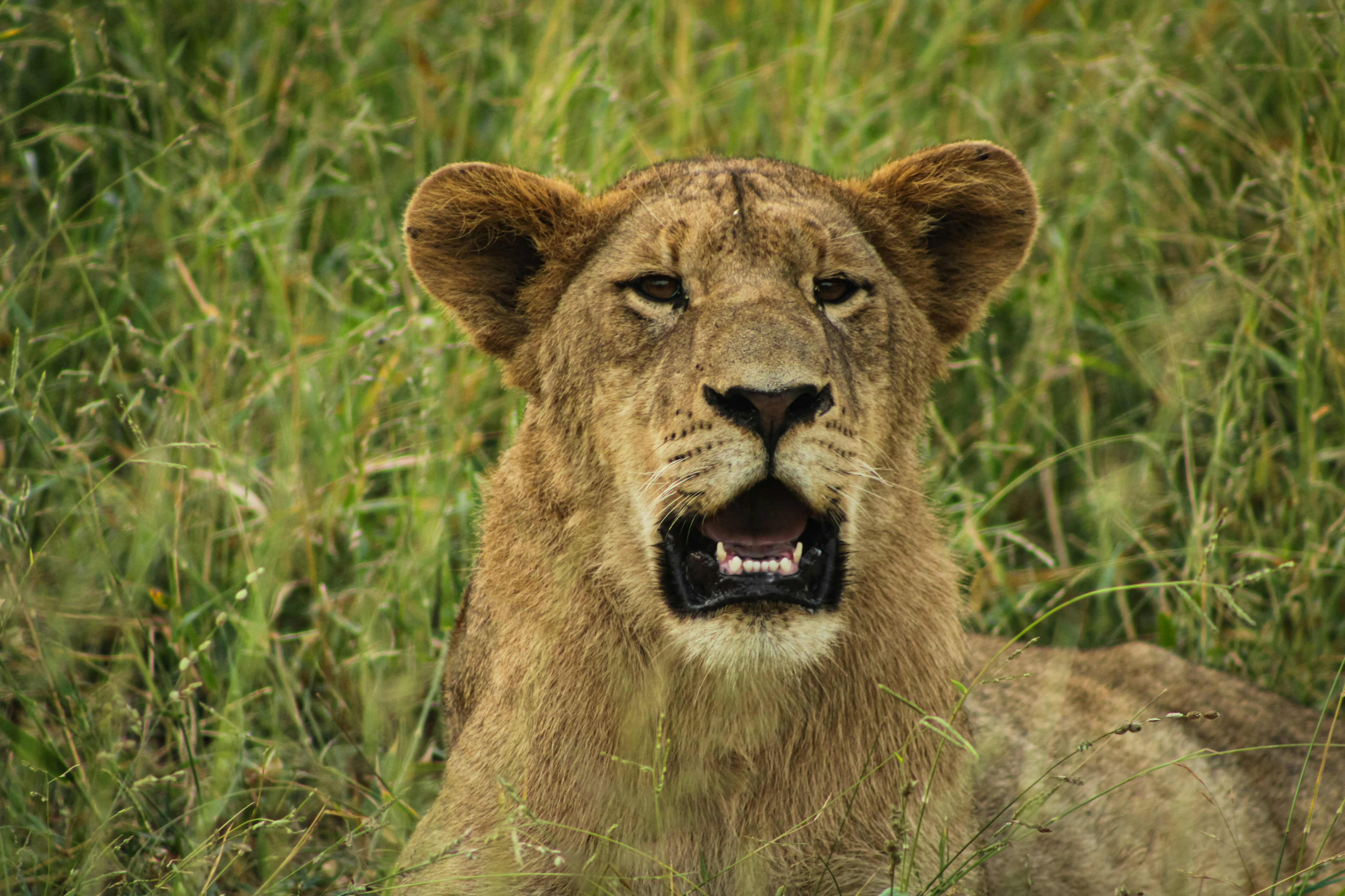 Photo by garreth_photography