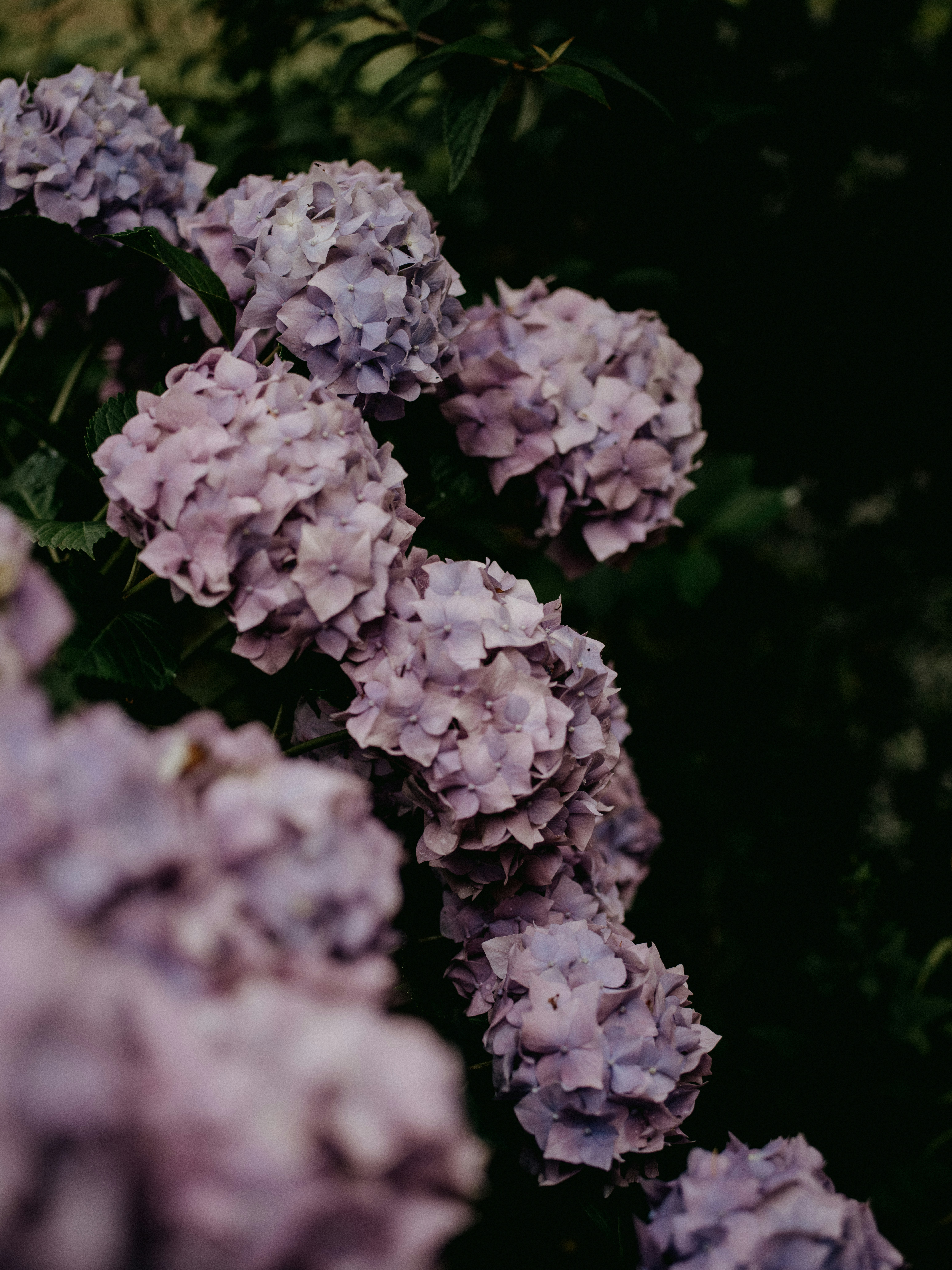 Photo by anniespratt