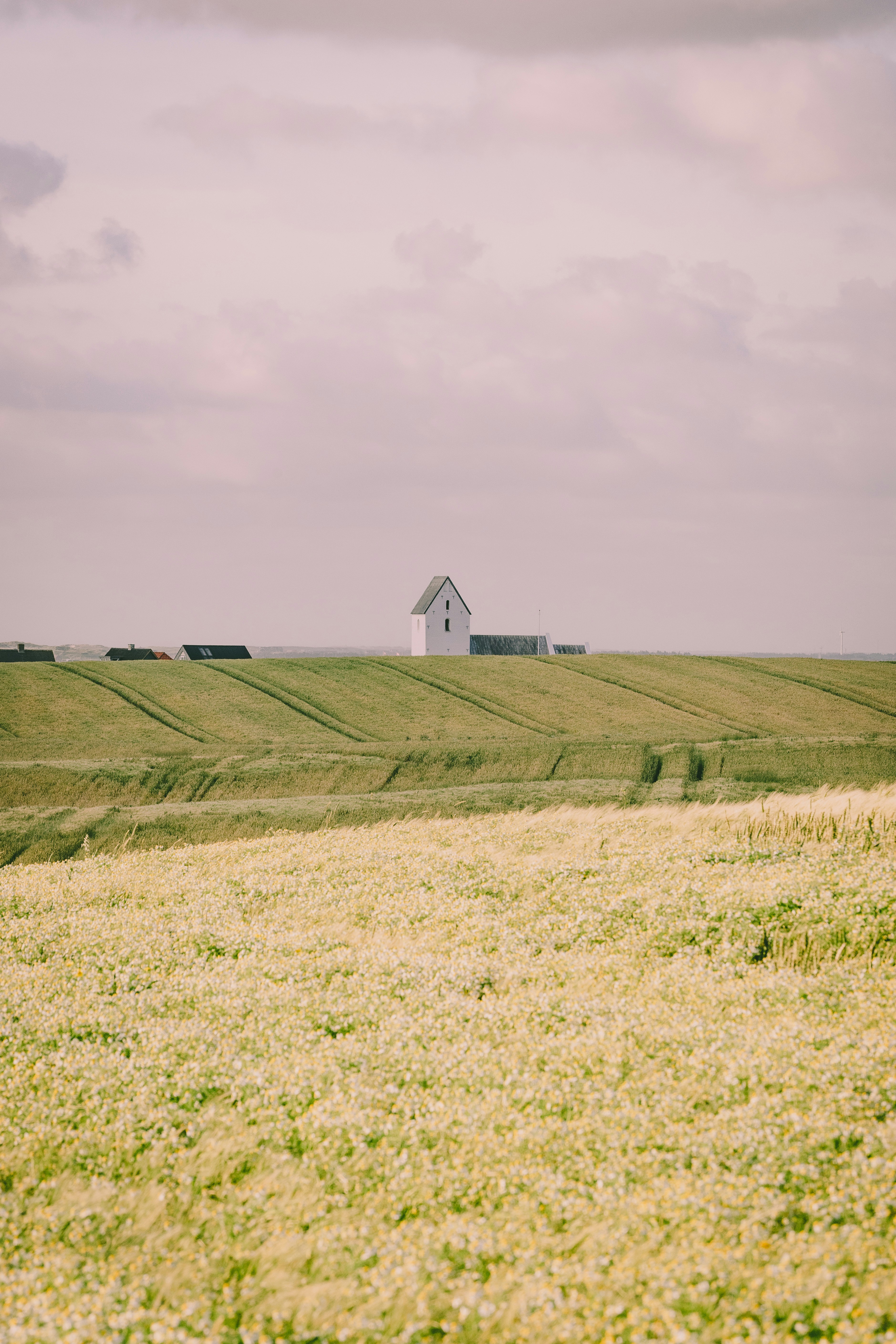 Photo by theverticalstory